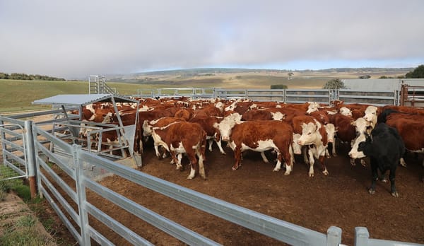 Product Management Stock